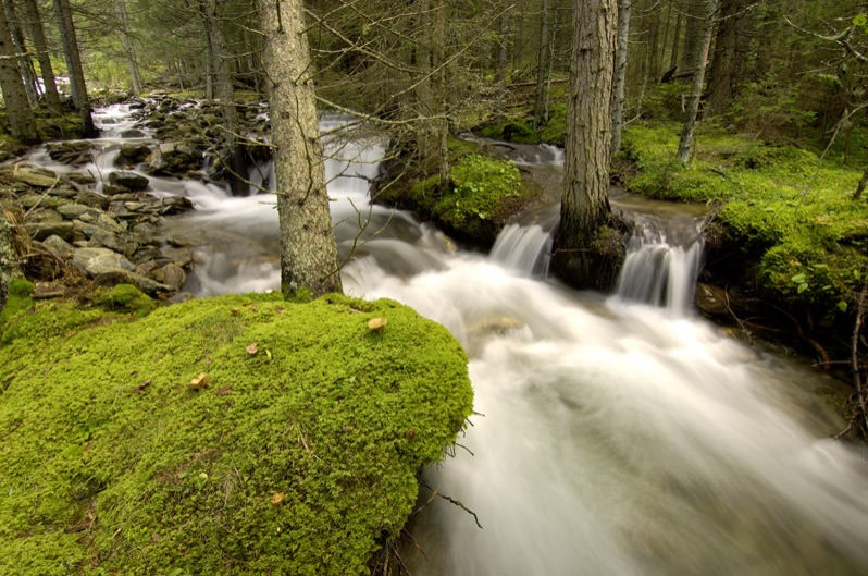 Katschberg im Sommer