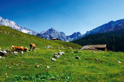 All Inclusive Sommerurlaub im Aktivhotel am Katschberg