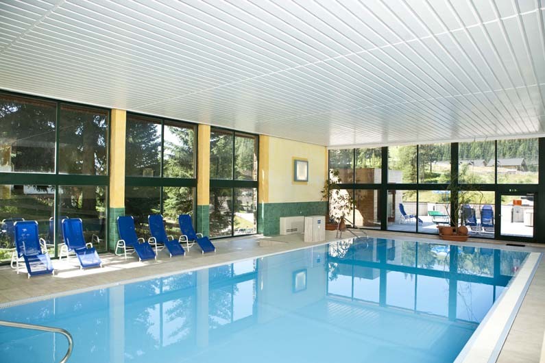 Swimmingpool im Katschberghof