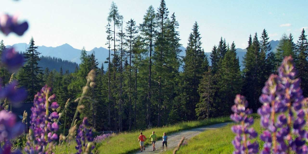 Das Aktiv-Hotel Katschberghof in Kärnten Salzburg ist ein Hotel direkt auf der Alm - Bergurlaub Region Kärnten Salzburg